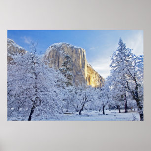 Sonnenaufgang Licht trifft El Capitan durch schnee Poster