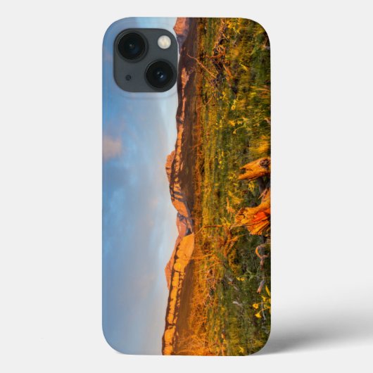 Sonnenaufgang Lights Blackleaf Canyon 2 Case-Mate iPhone Hülle (Rückseite)