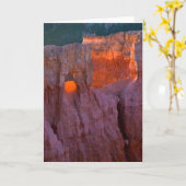 Sonnenaufgang | Nationalpark Bryce Canyon Karte (Gelbe Blume)