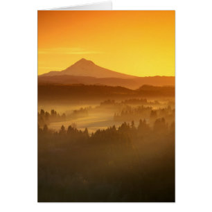 Sonnenaufgang orange färbt den Nebel im Tal in