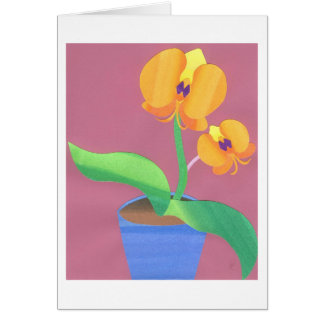 Sonnenaufgang-Orchidee