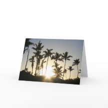 Sonnenaufgang Palmen Bäume