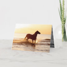 Sonnenaufgang Pferd im Wasserpferd Grußkarte