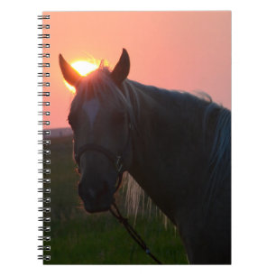 Sonnenaufgang-Pferd Notizblock
