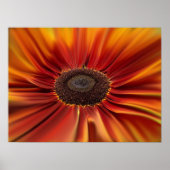 Sonnenaufgang Poster (Vorne)