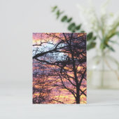 Sonnenaufgang Postkarte (Stehend Vorderseite)