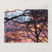 Sonnenaufgang Postkarte (Rückseite)