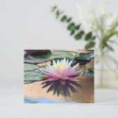 Sonnenaufgang Postkarte (Stehend Vorderseite)