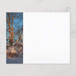 Sonnenaufgang, Schnee und Sycamore Flyer