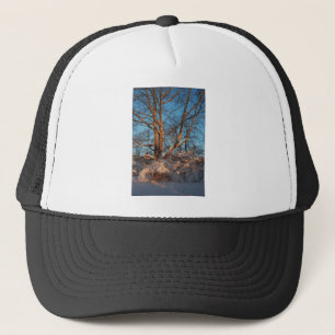 Sonnenaufgang, Schnee und Sycamore Truckerkappe