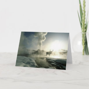 Sonnenaufgang Silhouette Elk am Burg Geyser Karte