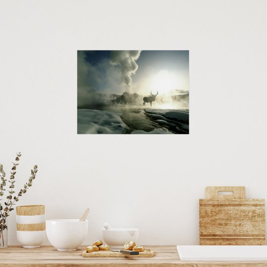 Sonnenaufgang Silhouette Elk am Burg Geyser Poster (Küche)