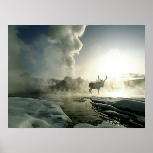 Sonnenaufgang Silhouette Elk am Burg Geyser Poster (Vorne)