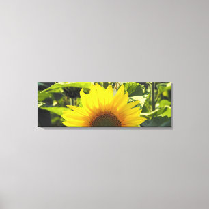 Sonnenaufgang Sonnenblumen Canvas Print (36X12) Leinwanddruck