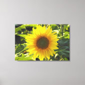 Sonnenaufgang Sonnenblumen ummantelte Leinwand Pri (Vorderseite)