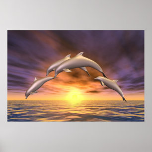 Sonnenaufgang-Sprung Poster