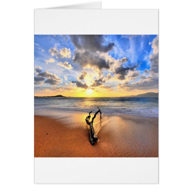 Sonnenaufgang-Treibholz-Strand (Vorne)