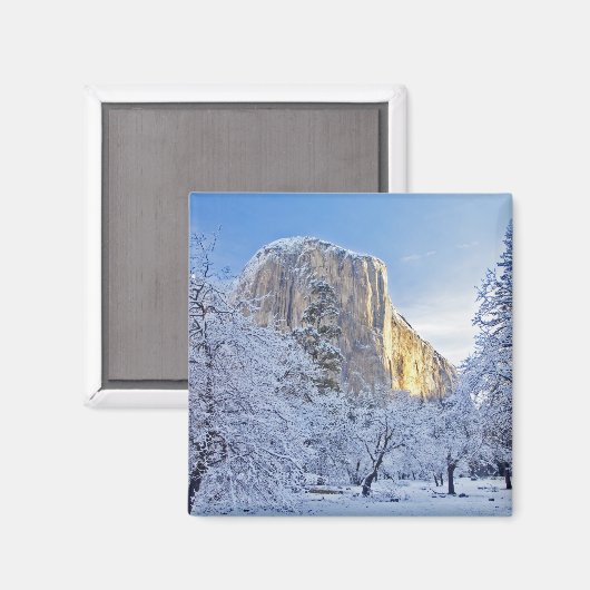 Sonnenaufgang trifft El Capitan durch Schnee Magnet (Vorderseite/Rückseite)