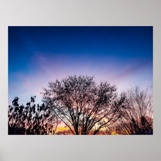 Sonnenaufgang über Bäumen Poster (Vorne)