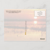 Sonnenaufgang über den Küstengewässern von Louisia Postkarte (Rückseite)