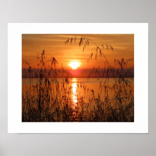 Sonnenaufgang über der Bucht Poster