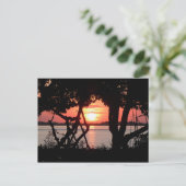 Sonnenaufgang über der Bucht Postkarte (Stehend Vorderseite)