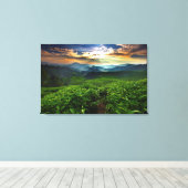 Sonnenaufgang über der Teefarm Leinwanddruck (Insitu (Holzboden))