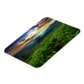 Sonnenaufgang über der Teefarm Magnet (Linke Seite)