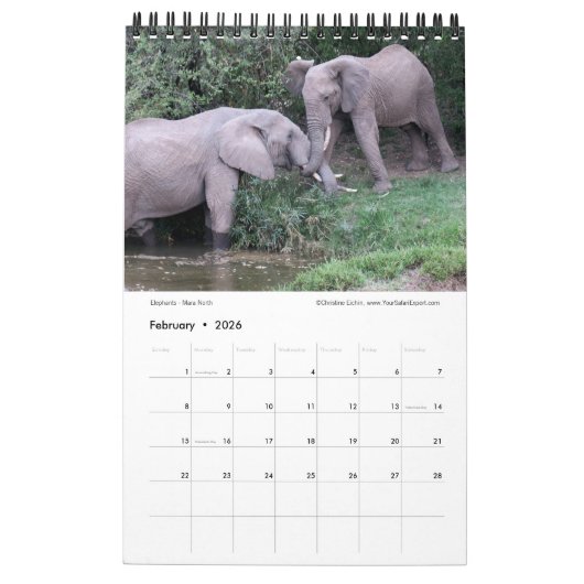 Sonnenaufgang über Kenias Wildli-Kalender (Single- Kalender (Feb 2026)