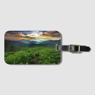 Sonnenaufgang über Tee-Bauernhof Gepäckanhänger