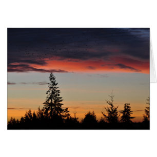 Sonnenaufgang und Bäume