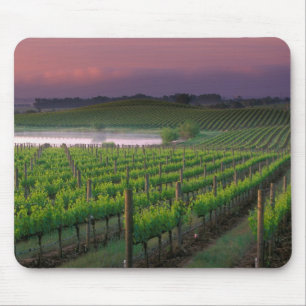 Sonnenaufgangsfarbe im fernen Nebel Mousepad