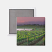 Sonnenaufgangsfarbe im Nebel hinten Magnet (Vorderseite/Rückseite)