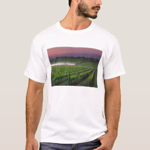 Sonnenaufgangsfärbung im fernen Nebel dahinter T-Shirt