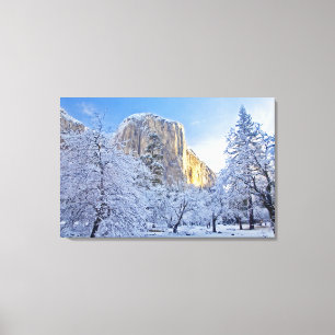 Sonnenaufgangslicht trifft El Capitan durch schnee Leinwanddruck