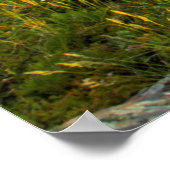 Sonnenaufgangslichter Blackleaf Canyon Poster (Ecke)