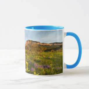 Sonnenaufgangslichter Blackleaf Canyon Tasse