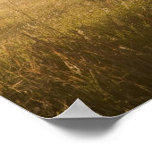 Sonnenaufgangslichter Nebel entlang des Zauns bei Poster (Ecke)