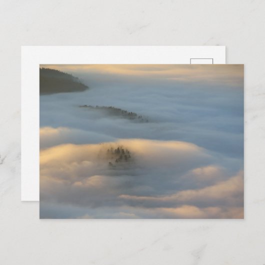 Sonnenaufgangsnebel in den Pieniny-Bergen Postkarte (Vorne/Hinten)