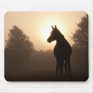 Sonnenaufgangspferd Mousepad