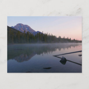 Sonnenaufgangsreflexion am String Lake II Postkarte