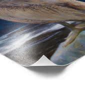 SONNENAUGEN EINES FLIKANISCHEN FOTODRUCK (Ecke)