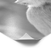 Sonnenbad Gray Langur Affe - Foto drucken (Ecke)