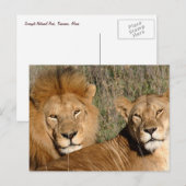 Sonnenbad - Postkarte (Vorne/Hinten)