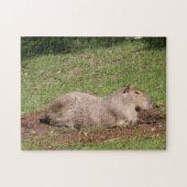 Sonnenbaden Capybara Puzzle (Horizontal)