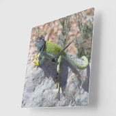 Sonnenbaden farbenfroh farbige Lizard-Fotografie Quadratische Wanduhr (Winkel)