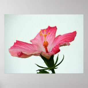 Sonnenbaden Poster