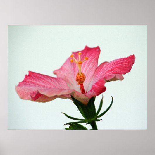 Sonnenbaden Poster (Vorne)