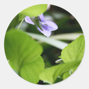 Sonnenbaden ? runder aufkleber