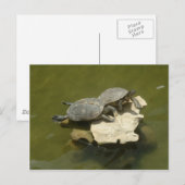 Sonnenbäder Postkarte (Vorne/Hinten)
